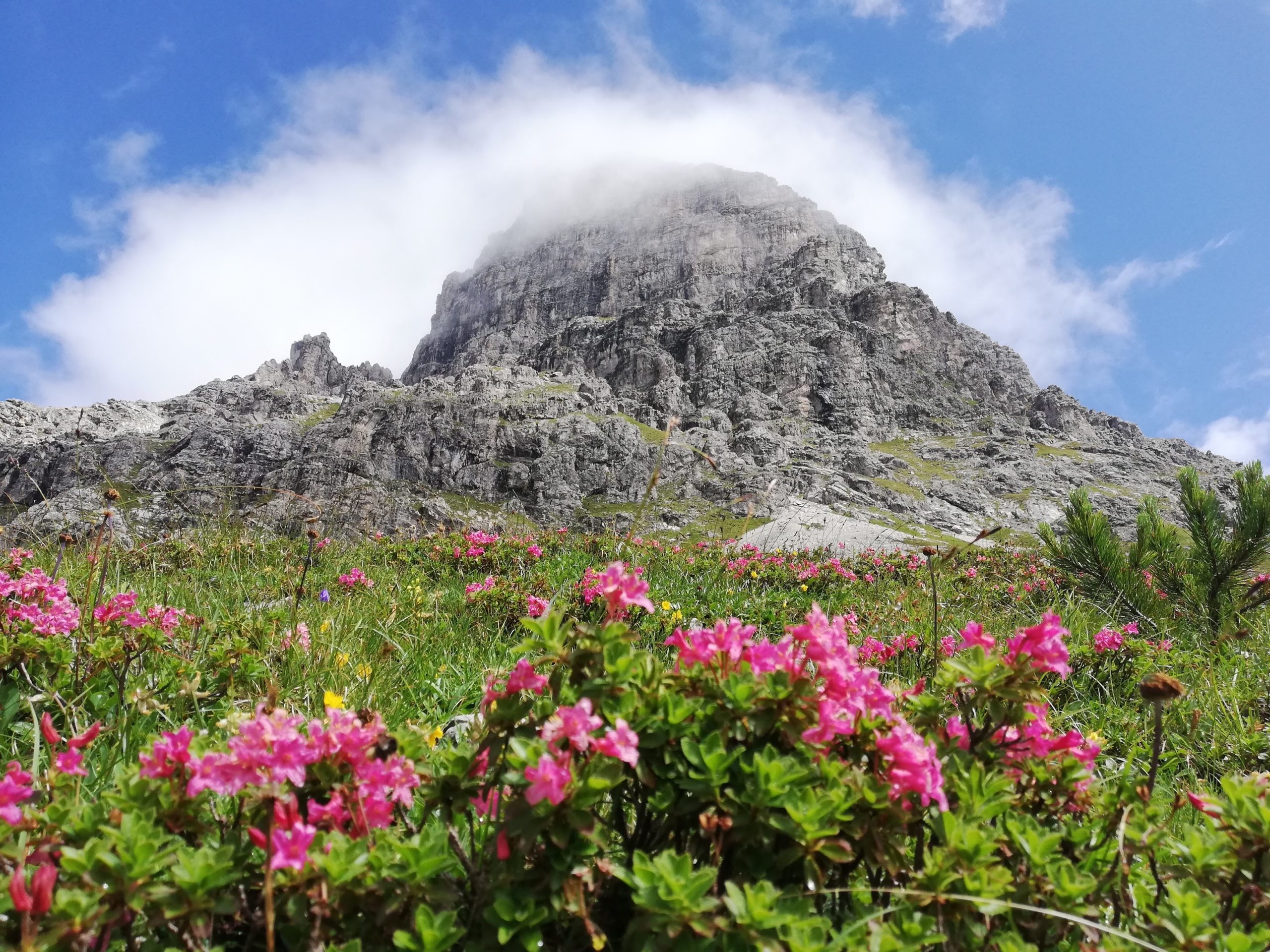 Wandern mit Achtsamkeit im Montafon