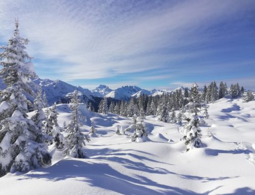 Gehmeditation – finde dich selbst in jedem Schritt